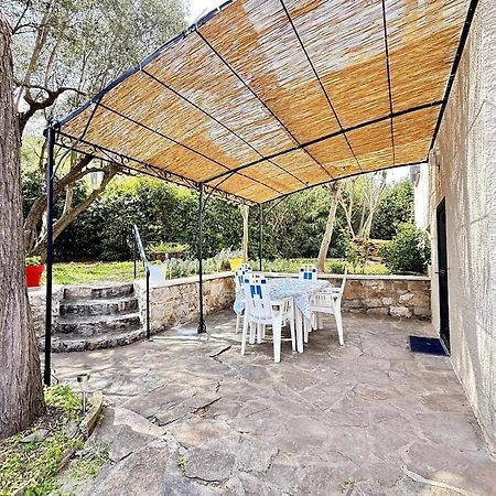 Jardin & Terrasse Ombragee - T2 Cozy Et Paisible Apartment La Garde  Exterior foto